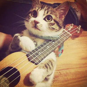 杨颖裸乳被爆❌白浆
